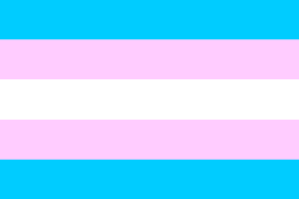 Trans diversity flag